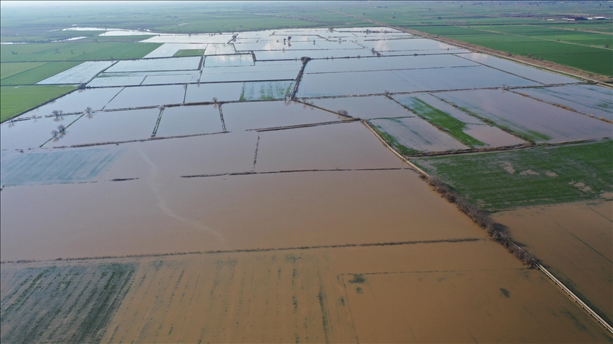 Büyük Menderes Nehri taştı, tarım arazileri sular altında