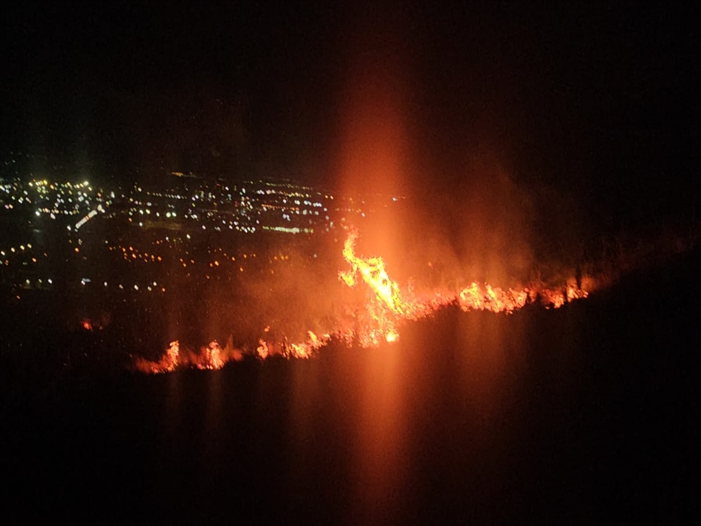 Hatay'da zeytin bahçesinde çıkan yangın kontrol altına alındı