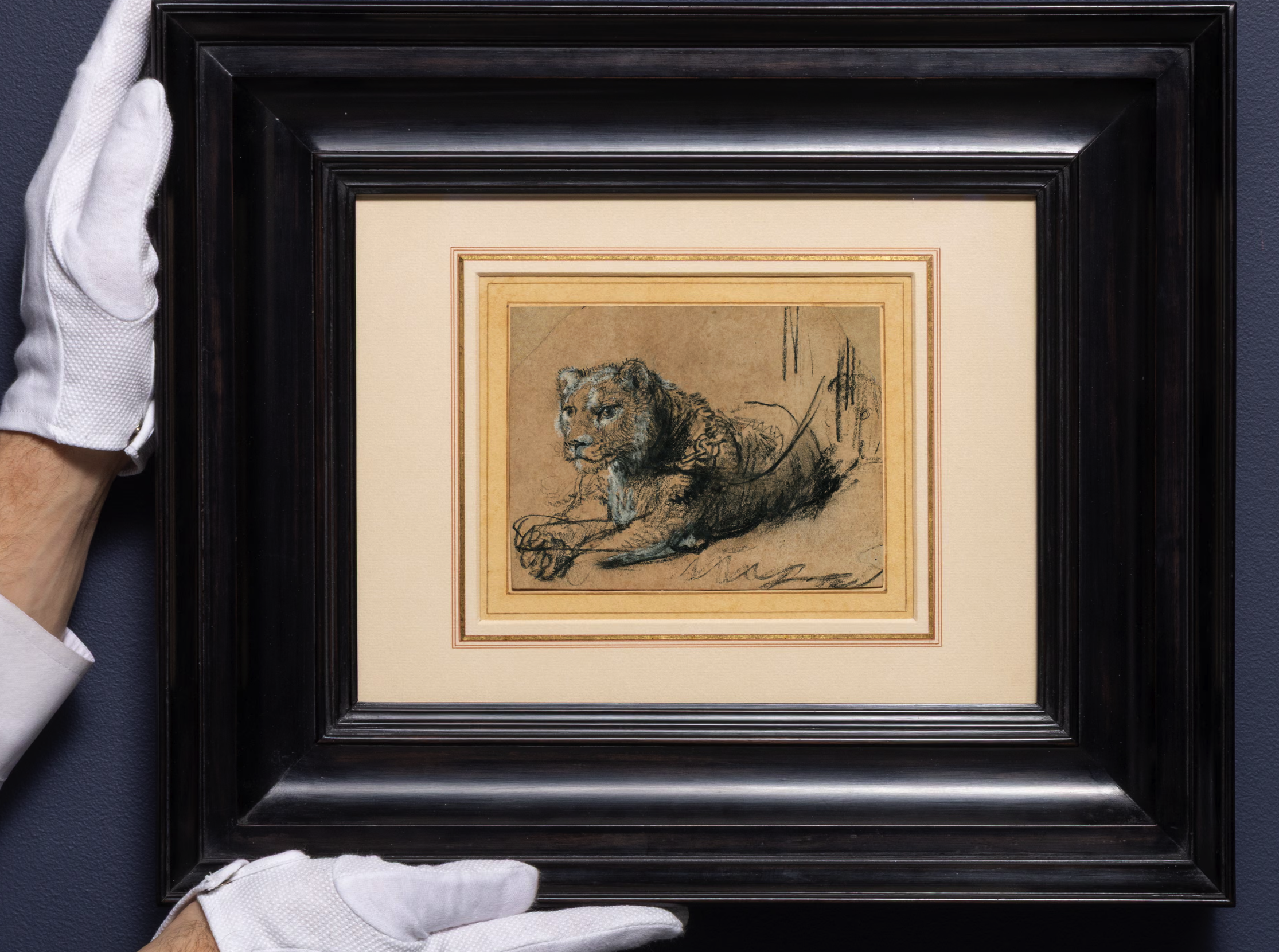 Rembrandt'ın 'Young Lion Resting' eseri rekor fiyata satıldı