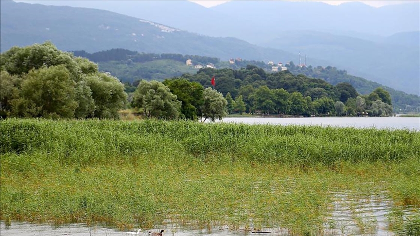 Yağışlar can suyu oldu: Sapanca Gölü 30 santimetre yükseldi