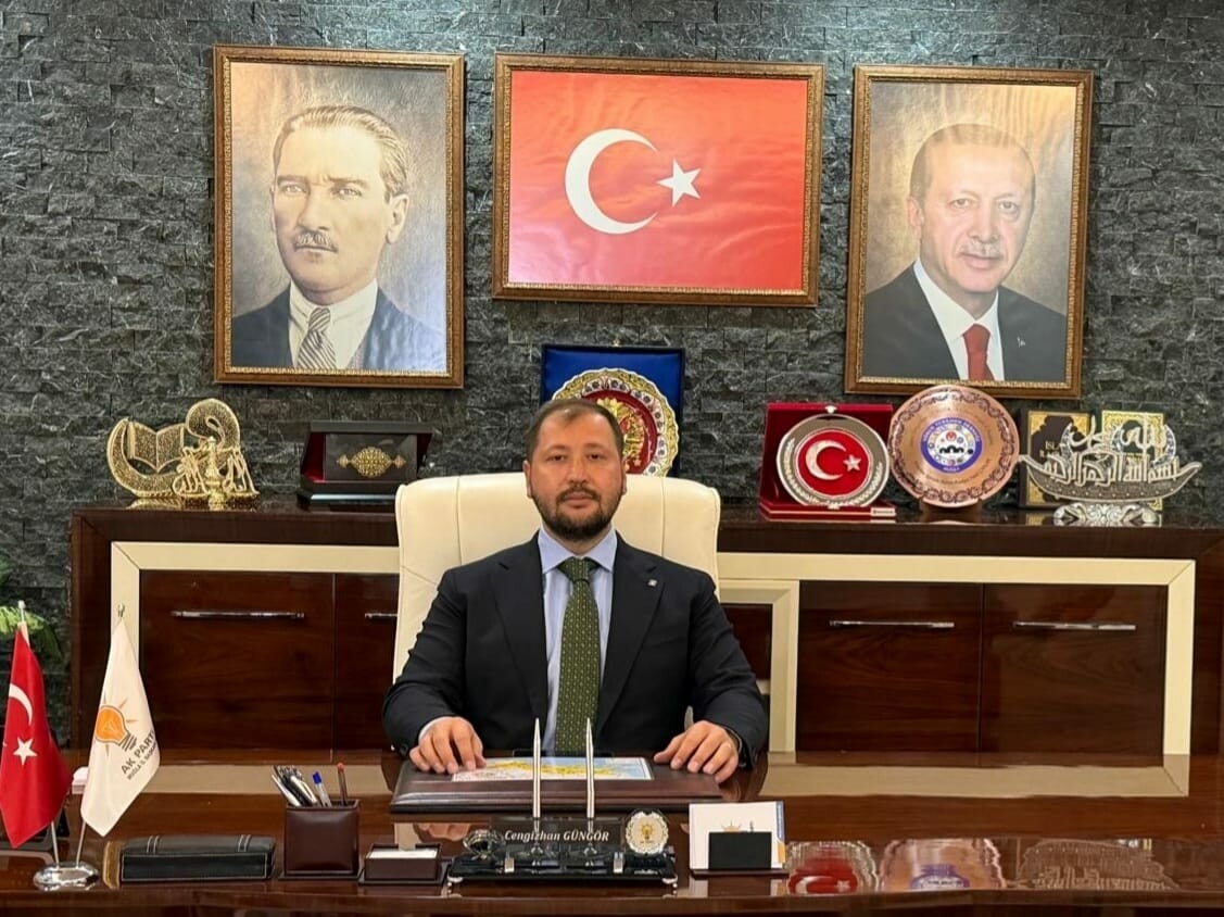 Muğla Valiliği'nden Milas'taki zeytin ağaçları için soruşturma
