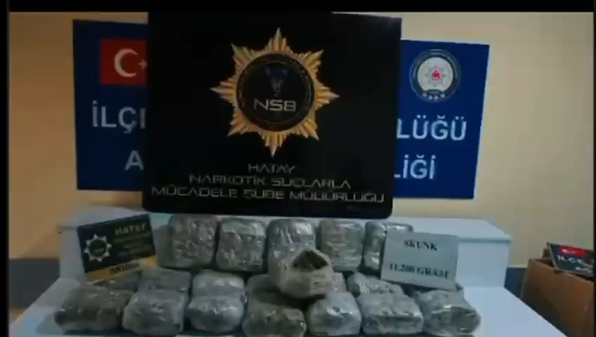 Hatay'da 11 kilo 200 gram skunk ele geçirildi: 1 kişi tutuklandı