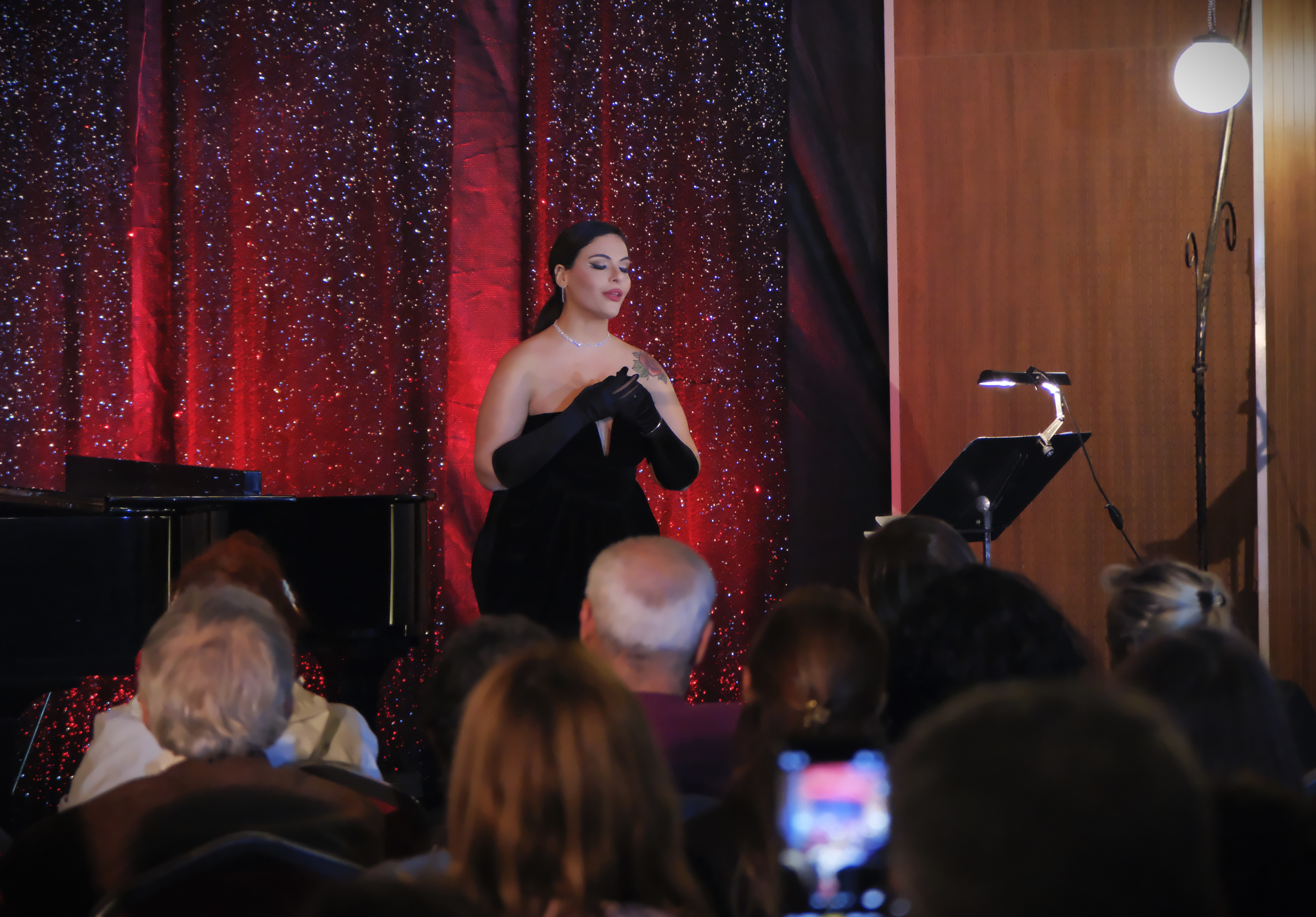 Mersin Devlet Opera ve Balesi 'Azerbaycan Gecesi' konseri verdi