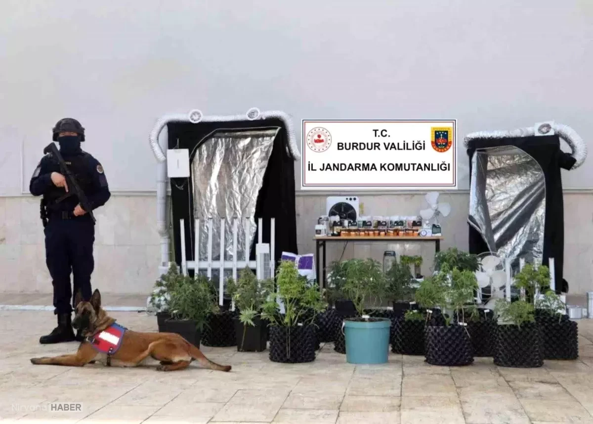 Burdur'da uyuşturucu operasyonunda 1 kişi tutuklandı