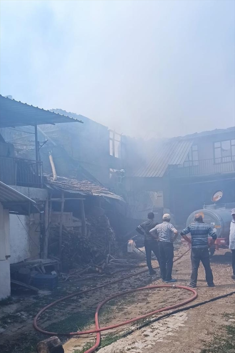 Burdur'da İğdeli Köyü'nü Sarsan Yangın Felaketi