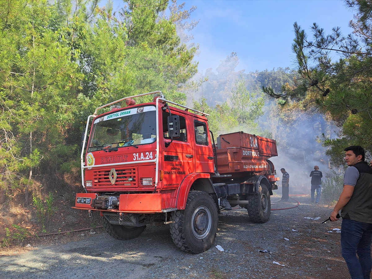 Hatay'ın Dörtyol İlçesinde Orman Yangınıyla Mücadele