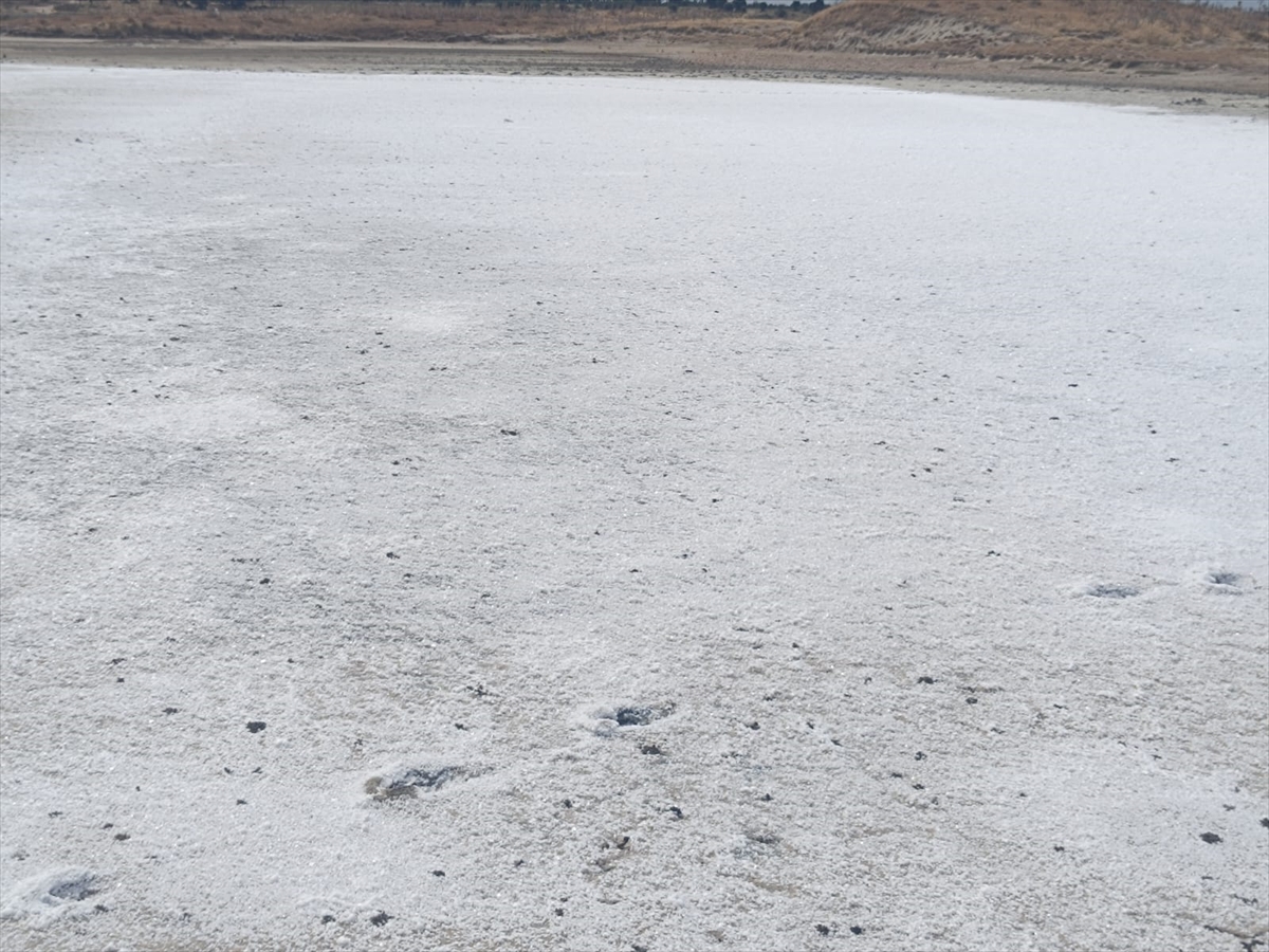 Edirne'de Sıcakların Etkisi: Taşaltı Gölü Tuzla Kaplandı