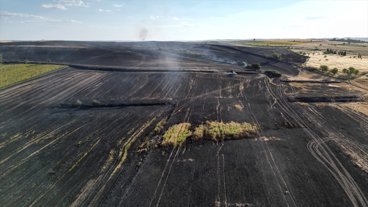 Tekirdağ'da Büyük Yangın 1500 Dekar Tarım Arazisini Küle Çevirdi