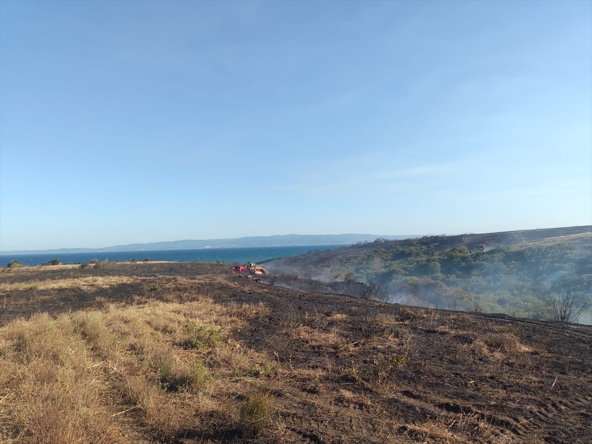 Çanakkale Gelibolu'da Tarım Alanlarında Büyük Yangın