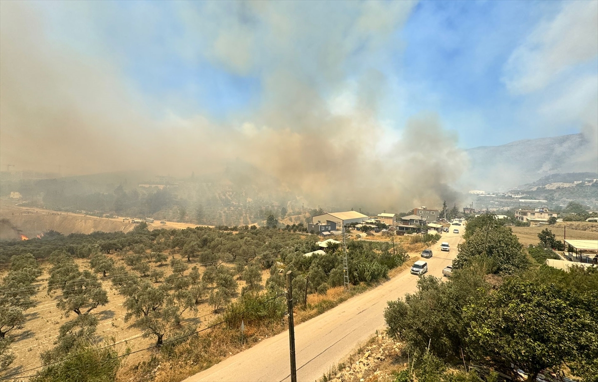 Hatay'da Çıkan Orman Yangını Korkuttu: Müdahale Devam Ediyor
