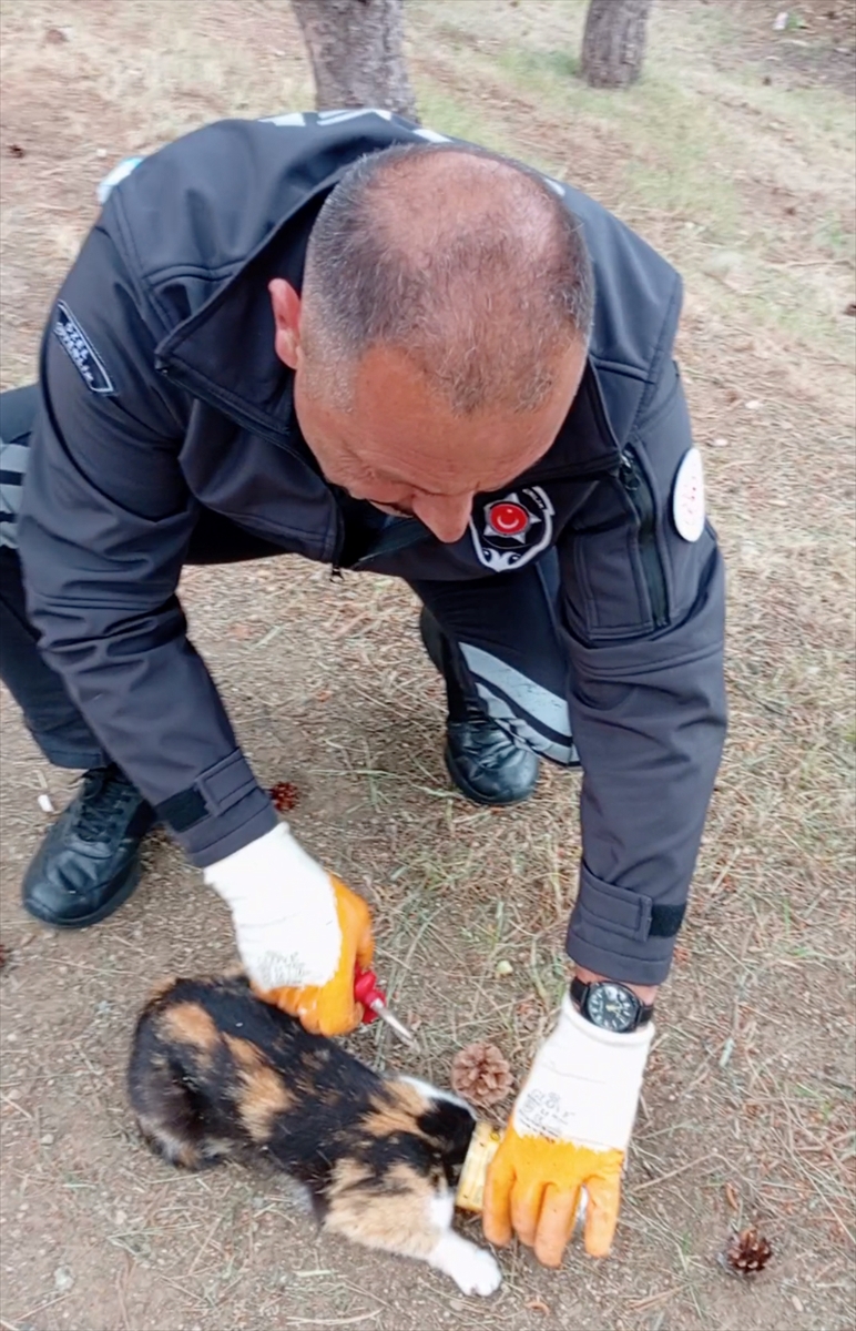 Yozgat'ta Konserve Kutusuna Sıkışan Kediyi Kahraman Güvenlik Görevlisi Kurtardı