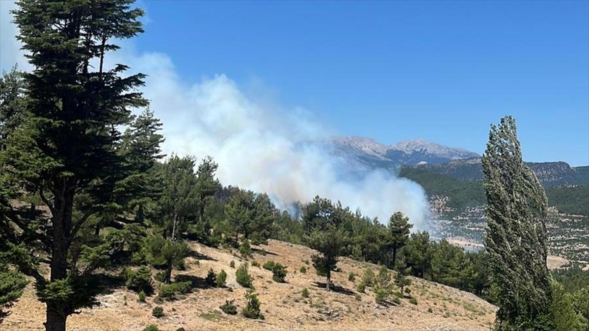 Isparta'da Orman Yangınına Hızlı Müdahale