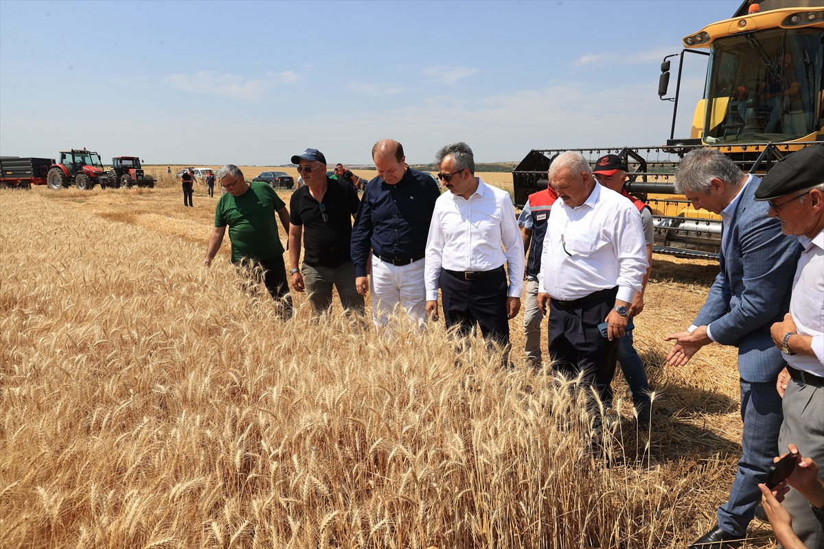 Edirne'nin Verimli Topraklarında Hasat Coşkusu