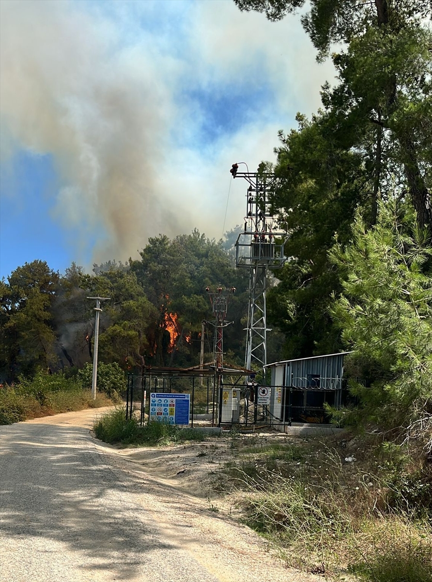 Manavgat'ta Orman Yangını Söndürme Çalışmaları Tüm Hızıyla Devam Ediyor
