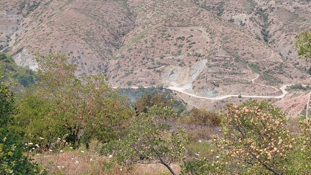 Hatay Samandağ'ın Makilik Alanındaki Yangın Kontrol Altına Alındı