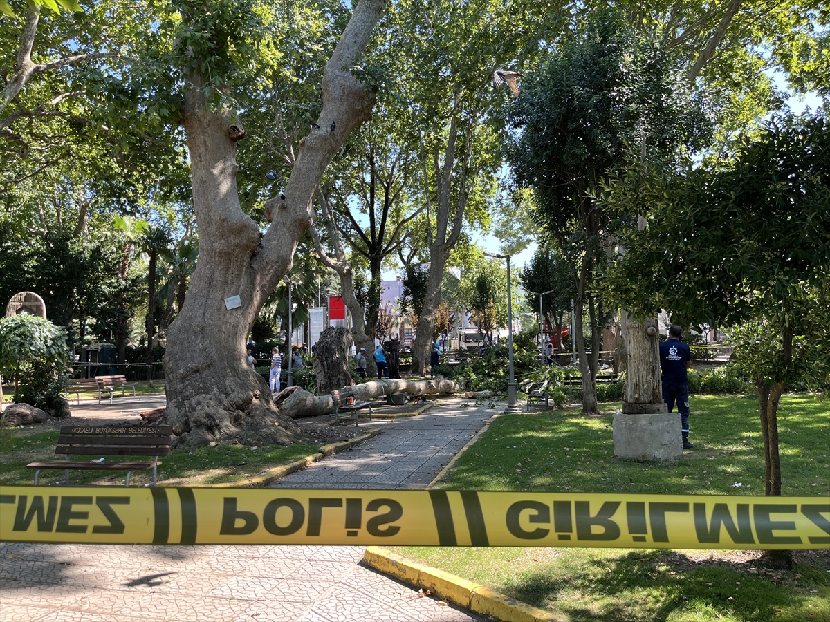 Kocaeli'de Yaşanan Kaza Ağacın Altında Kalan 3 Kişiyi Yaraladı