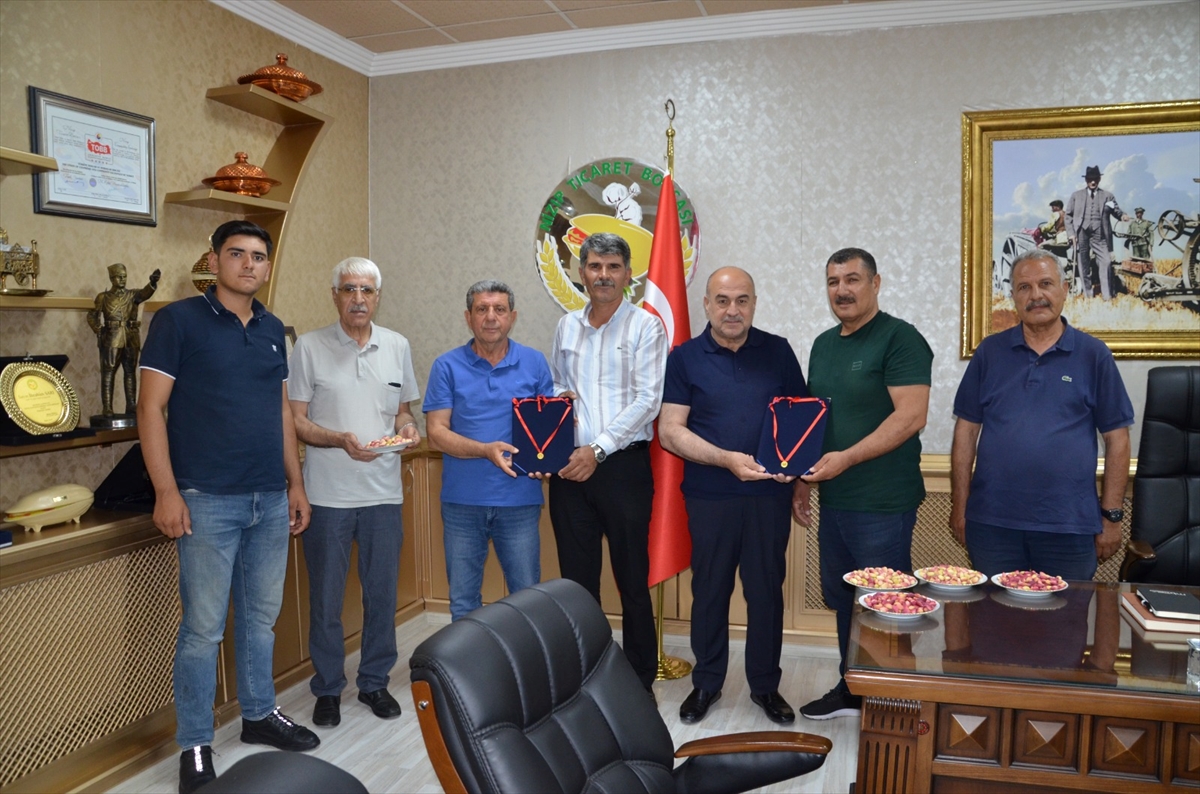 Nizip'te İlk Antep Fıstığı Hasadı Coşkuyla Kutlandı