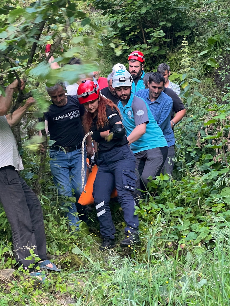 Giresun'da Fındık Bahçesinde Kaza: 75 Yaşındaki Adam Hastaneye Kaldırıldı