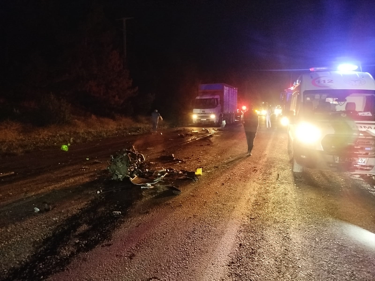 Bolu'da Hayatını Kaybeden Sürücü ve Hızla Artan Vahşi Yaşam Kazaları
