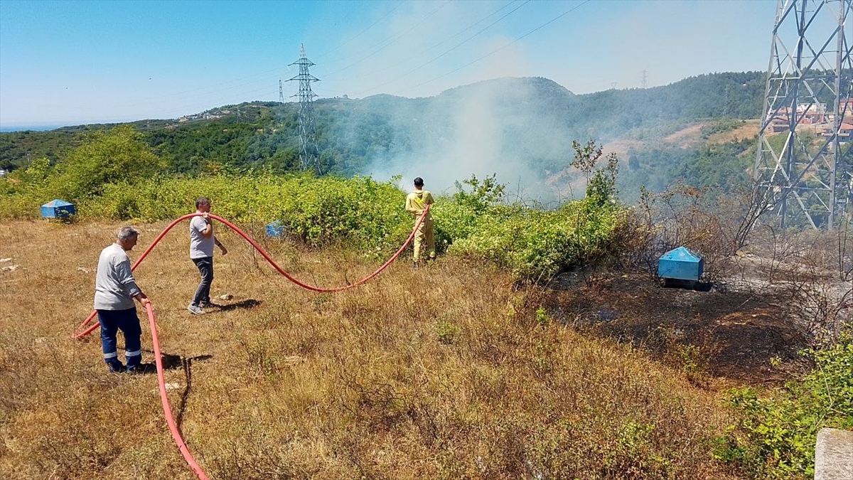 Zonguldak'ta Çıkan Çalılık Yangını Hızlı Müdahale ile Kontrol Altına Alındı