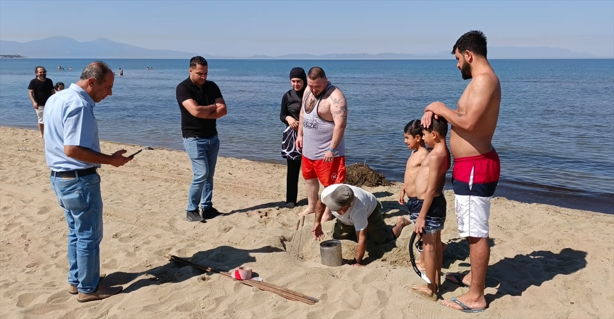 İzmir'de Caretta Caretta Yuvalama Alanları Koruma Altına Alındı