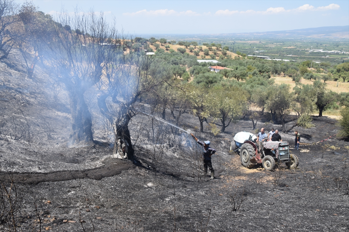Manisa’da Tarım Arazisindeki Yangın Kontrol Altında: Müdahale ve Detaylar