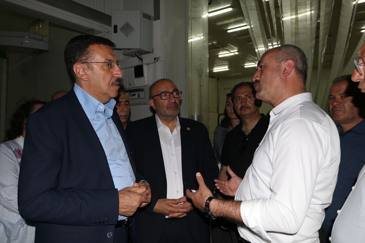 Eskişehir'deki Kiraz Bahçeleri TBMM Komisyonu Tarafından Mercek Altında