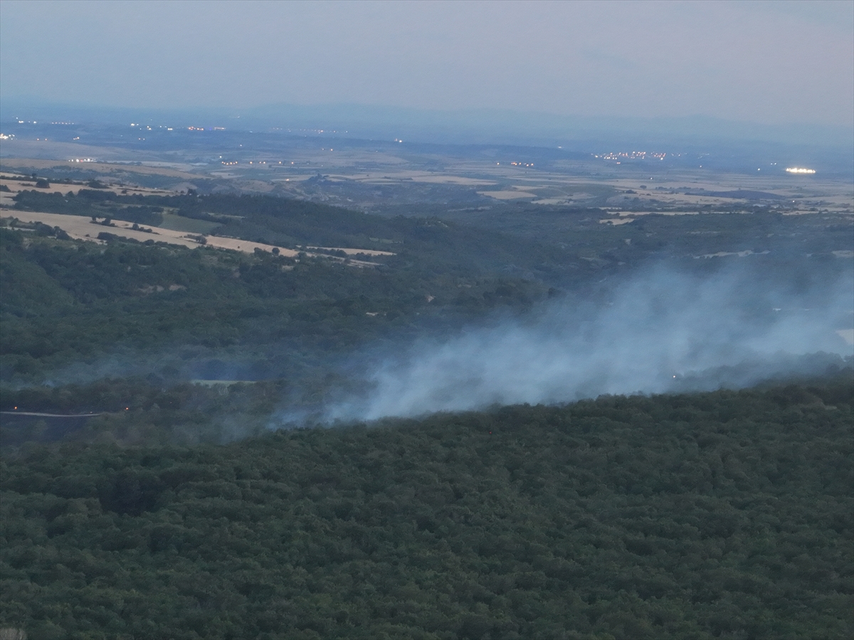 Edirne Orman Yangınına Anında Müdahale Felaketi Önledi