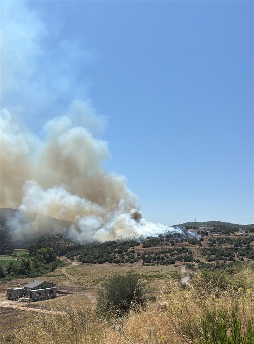 Milas'taki Ziraat Alanındaki Yangın Kontrol Altına Alındı