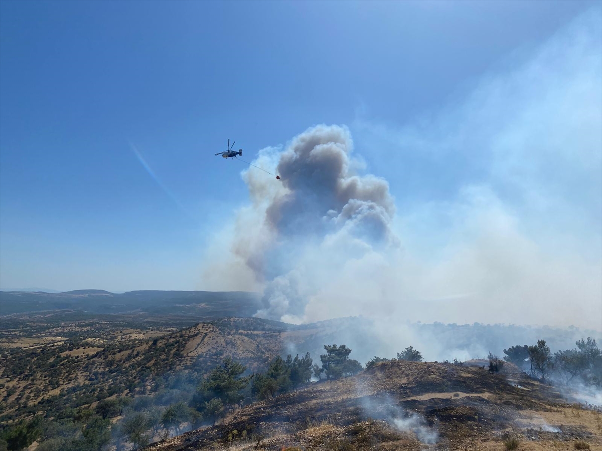 Çanakkale'nin Ayvacık İlçesinde Orman Yangınıyla Mücadele Sürüyor
