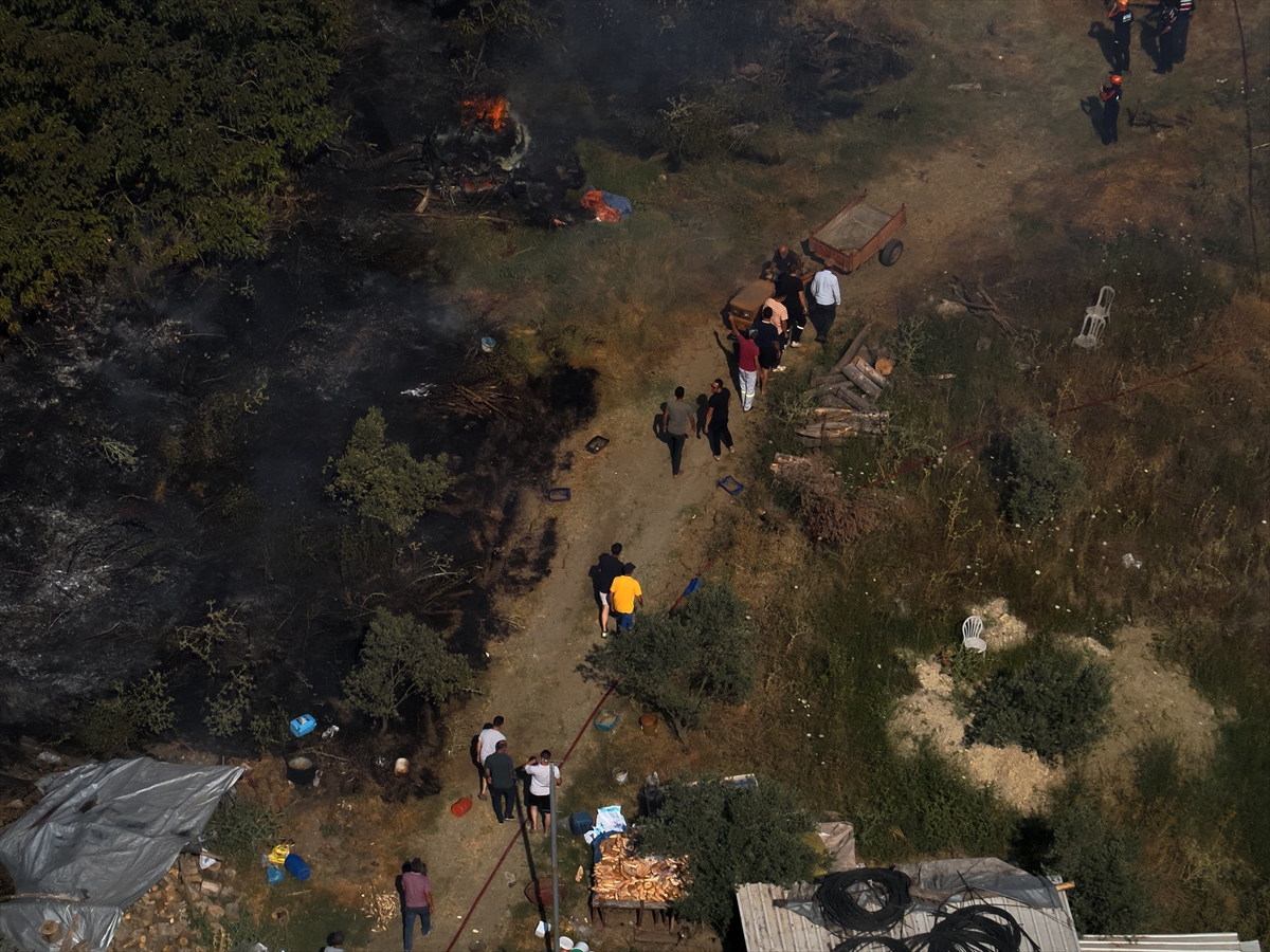 Yalova'daki Felaket: Kılıç Köyü'nde Arazi Yangını Kontrol Altında