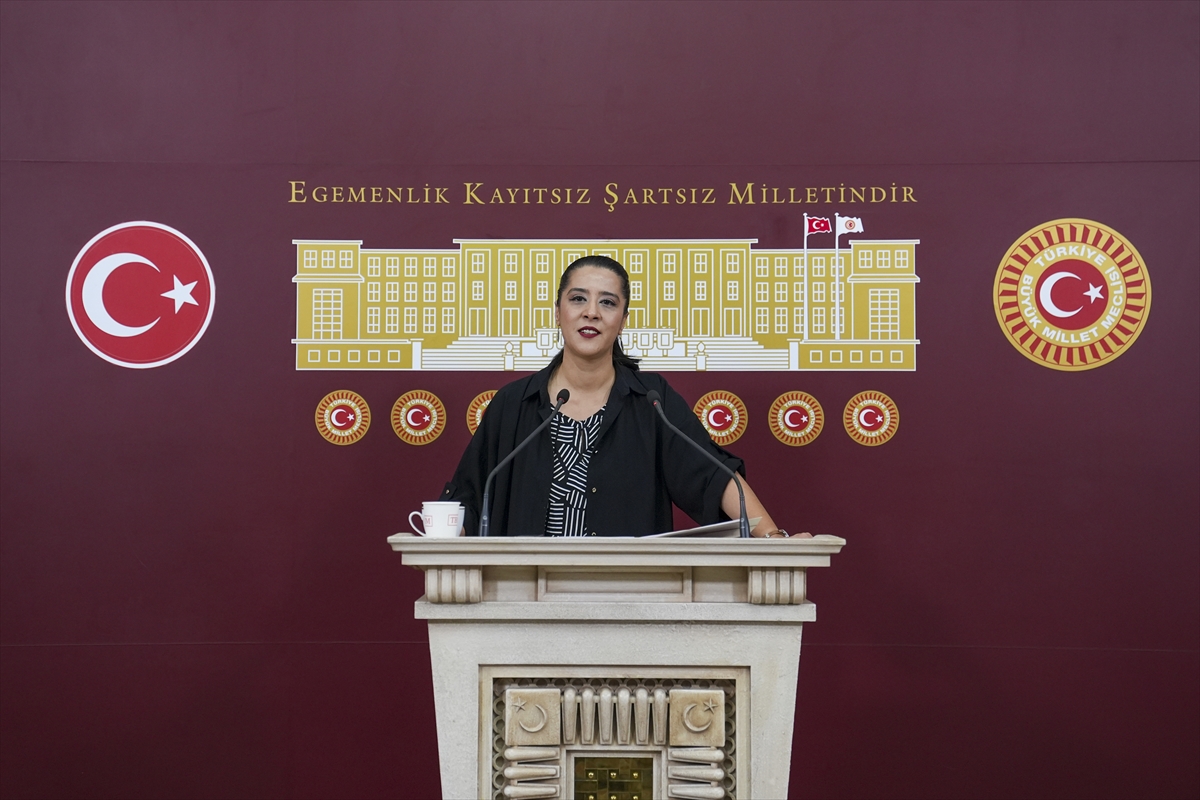 Proje Okulları Yönetmeliği'ne Tepki: 'Eğitimde Şirketleşme Endişesi'