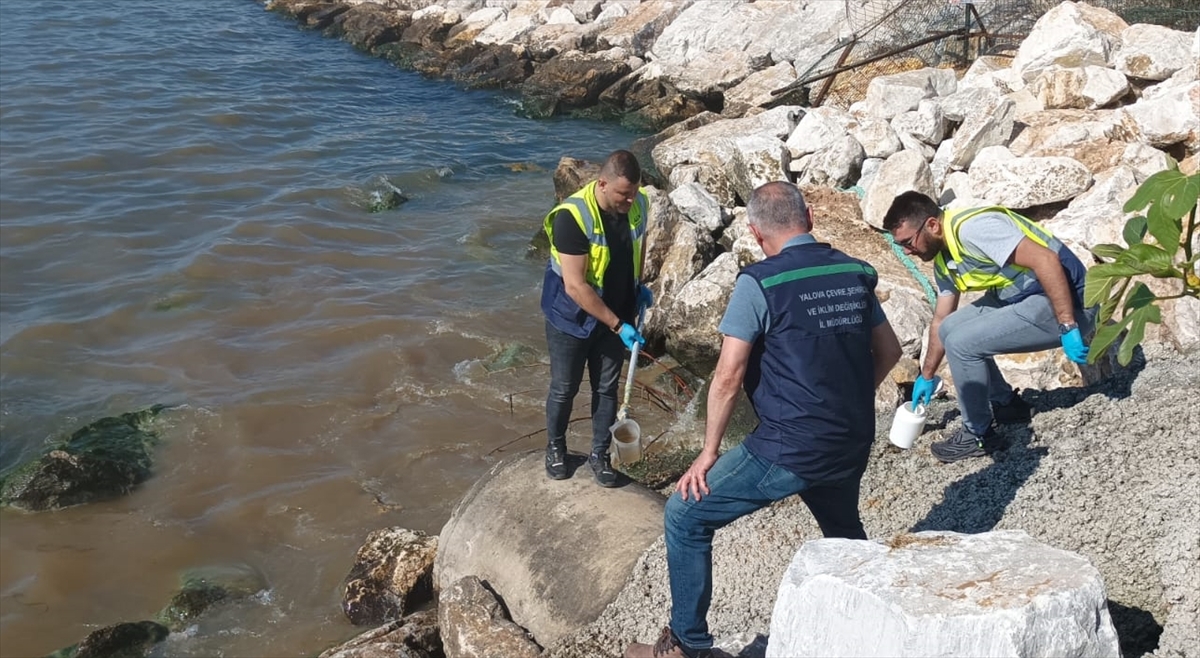 Yalova Belediyesi'ne Çevre İhlali Nedeniyle Ağır Ceza