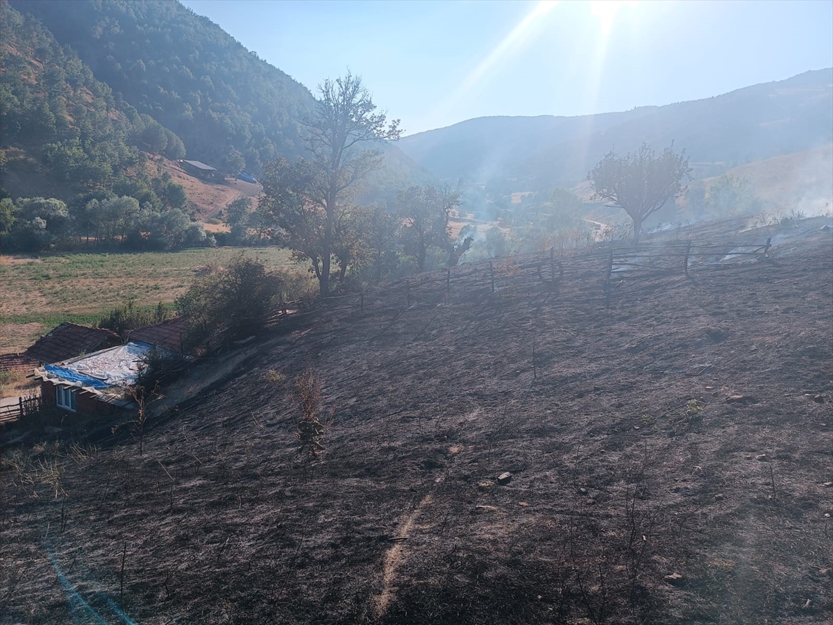 Tokat'ta Orman Yangını Alarmı Toplam 10 Dönüm Kül Oldu