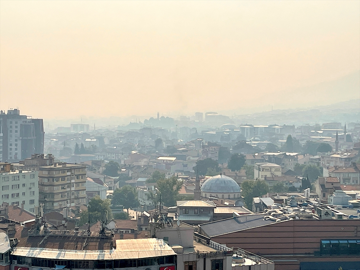 Bilecik Orman Yangını Bursa'yı Duman Altında Bıraktı