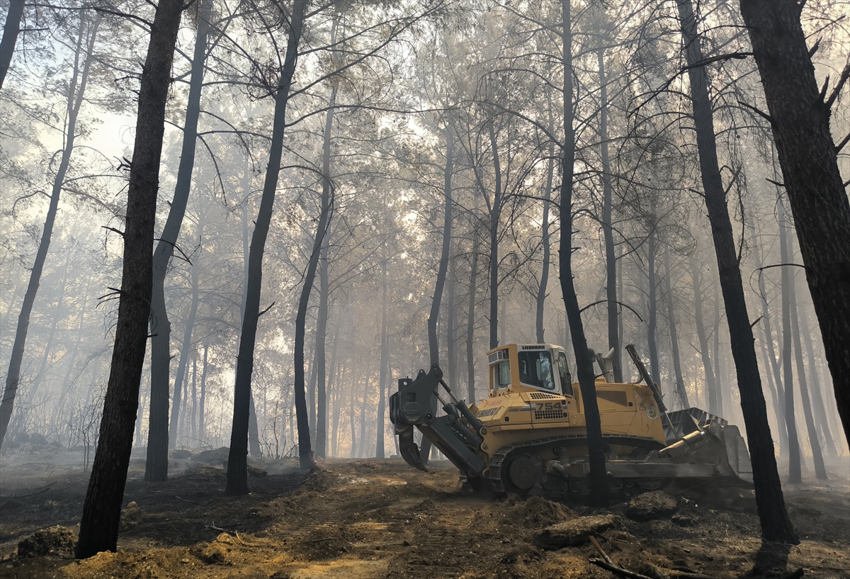 Antalya'nın Orman Yangınlarıyla Mücadelesi Devam Ediyor
