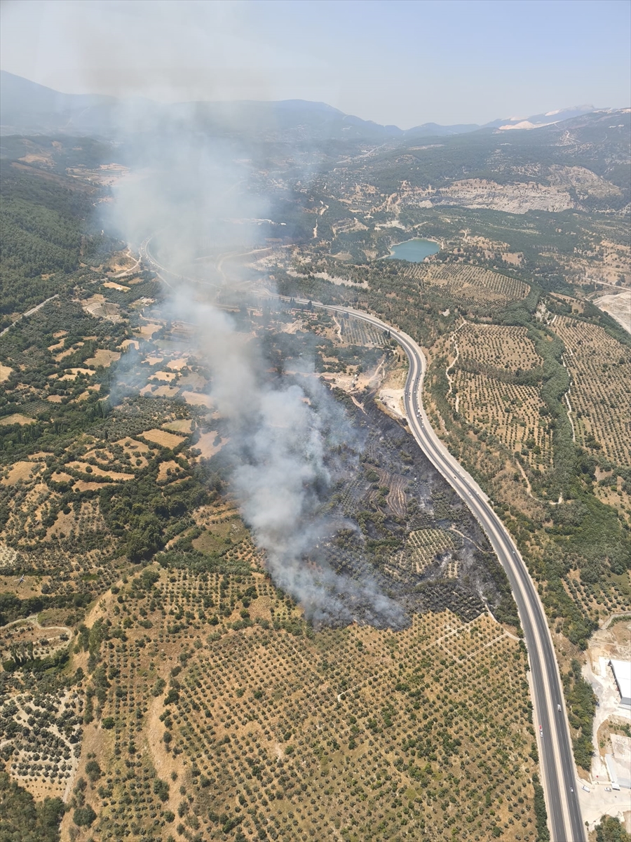 Muğla'da Tarım Alanı Yangınına Hızlı Müdahale