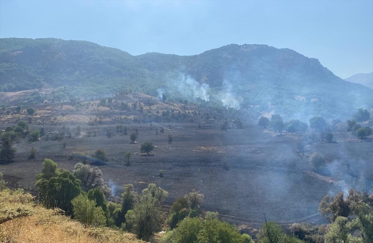 Tunceli'de Orman Yangını Kontrol Altında: Ekiplerin Başarılı Müdahalesi