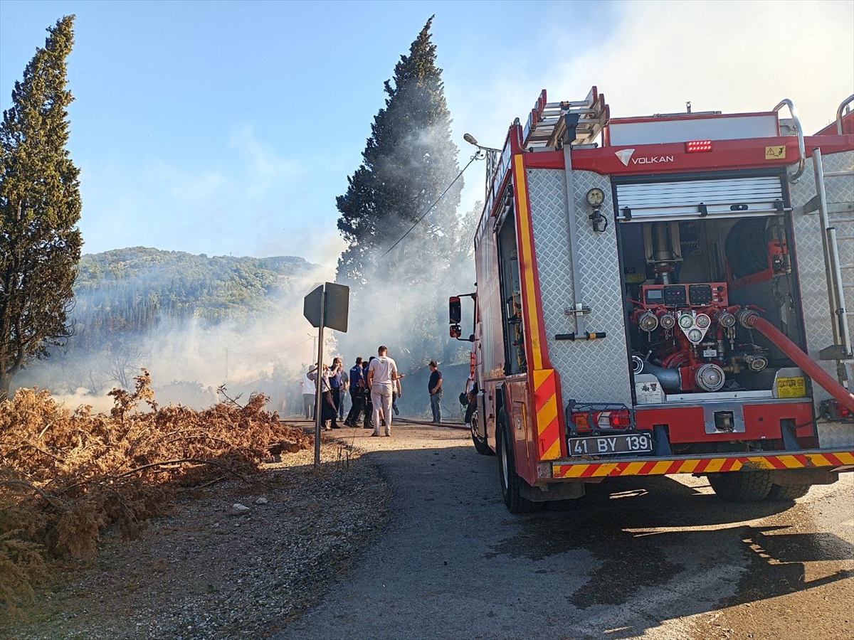 Kocaeli'nin Orman Yangınıyla Mücadelesi Devam Ediyor
