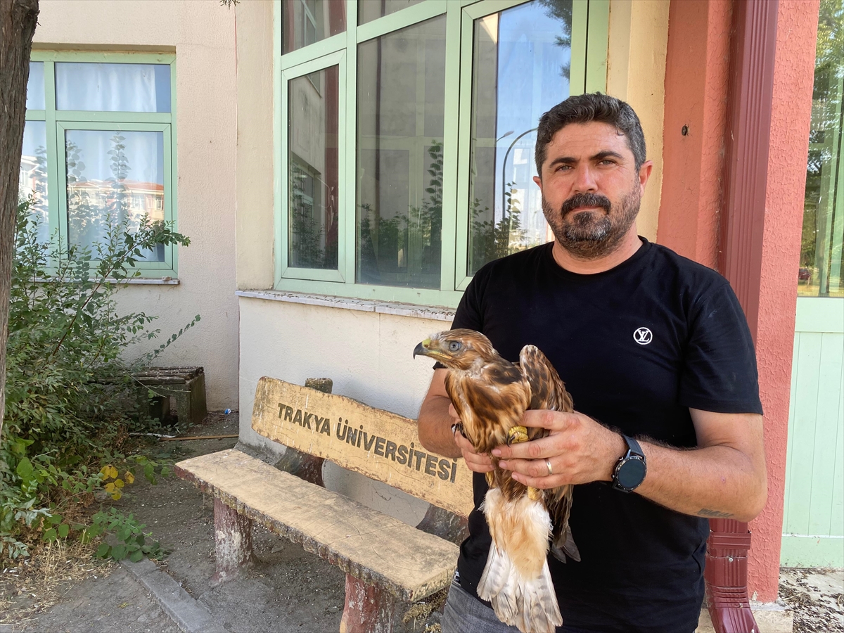 Yüksek Sıcaklıklar Yaban Hayatını Tehdit Ediyor: Edirne'de Bitkin Düşen Hayvanlar Kurtarılıyor