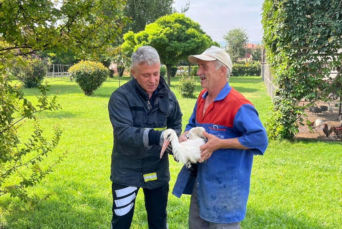 Tokat'ta Yaralı Leylek İtfaiye Tarafından Kahramanca Kurtarıldı