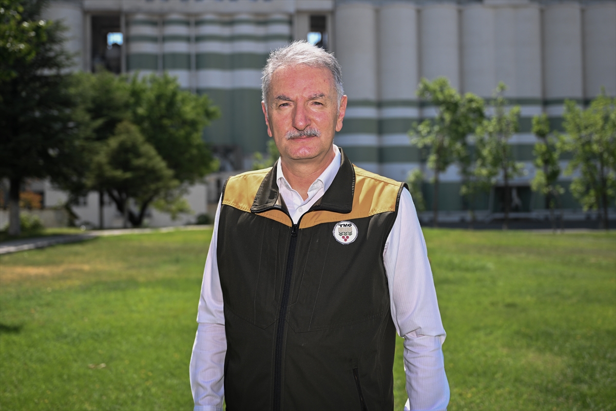 Fındık Üretiminde Kayıp Endişesi: Rekolte 453 Bin Tona Geriledi