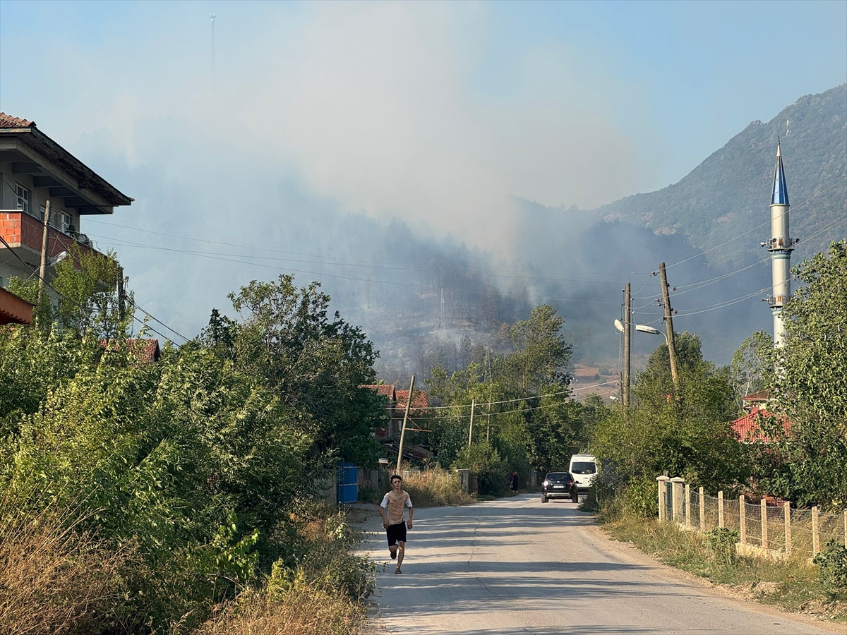 Bartın'da Orman Yangınıyla Mücadele: Ekipler Seferber Oldu