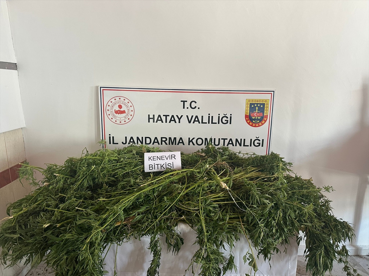 Hatay'da Uyuşturucu Operasyonu ile Güvenliğe Büyük Darbe