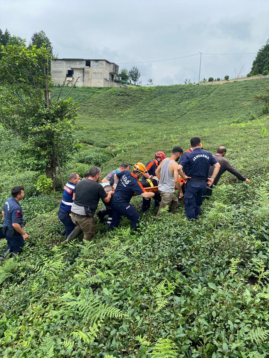 Rize'de İlkel Teleferik Kazası: Çay Hasadı Yaparken Kadın Yaralandı