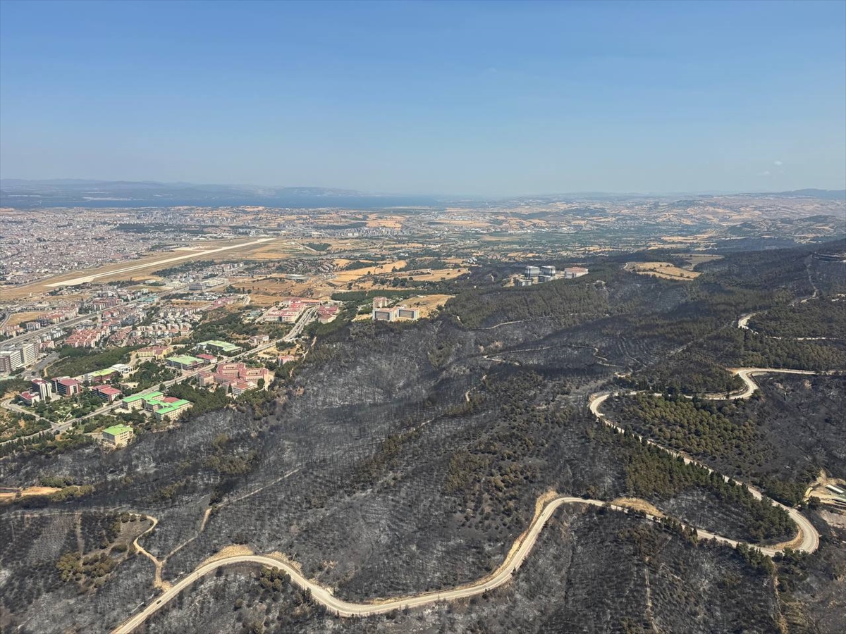 Çanakkale'deki Yangının Ardından Ormanlık Alanlar Yeniden Yapılandırılacak