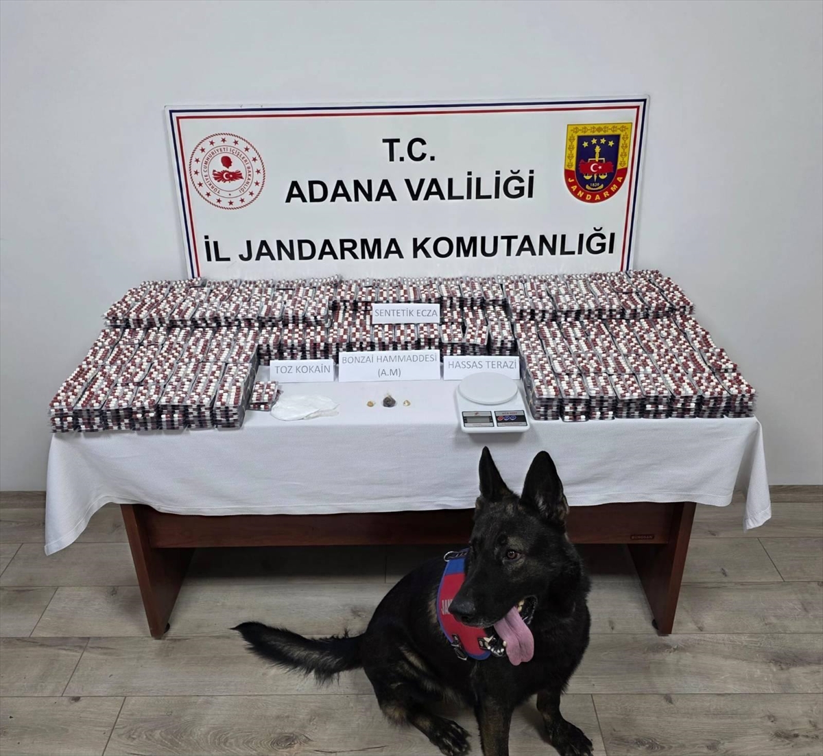 Adana'da Dev Uyuşturucu Operasyonu: On Binlerce Hap Ele Geçirildi