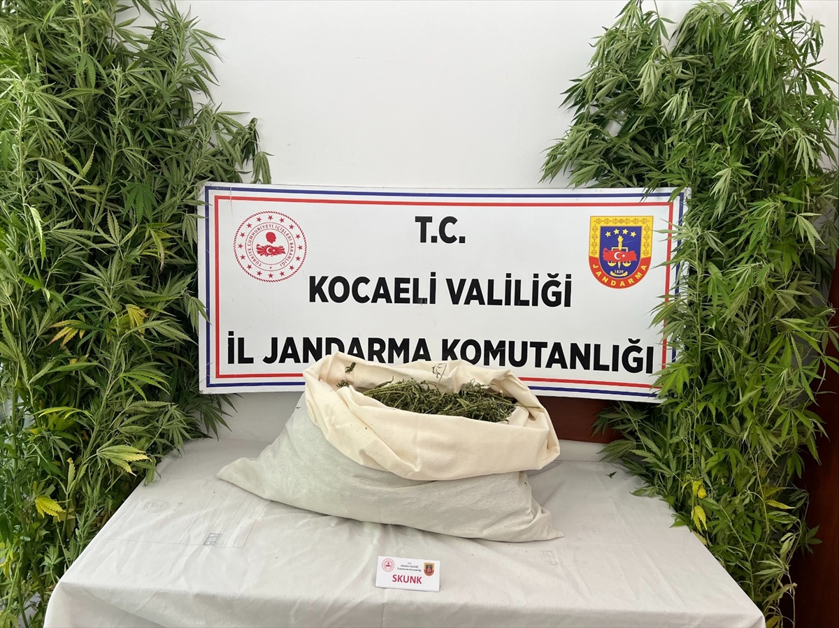 Kocaeli'de Nefes Kesen Uyuşturucu Operasyonu: Çarpıcı Detaylar Ortaya Çıktı