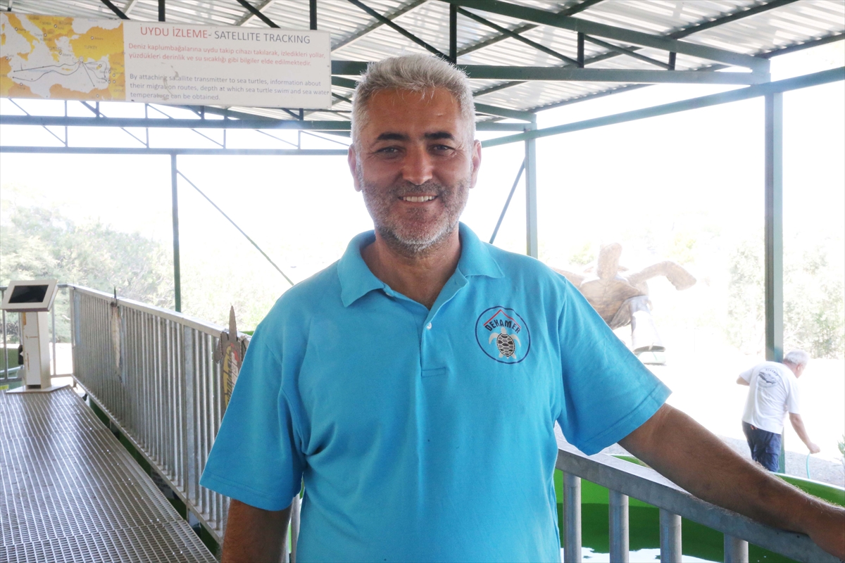 İztuzu Sahili'ndeki Caretta Caretta Yuvaları Rekor Kırdı