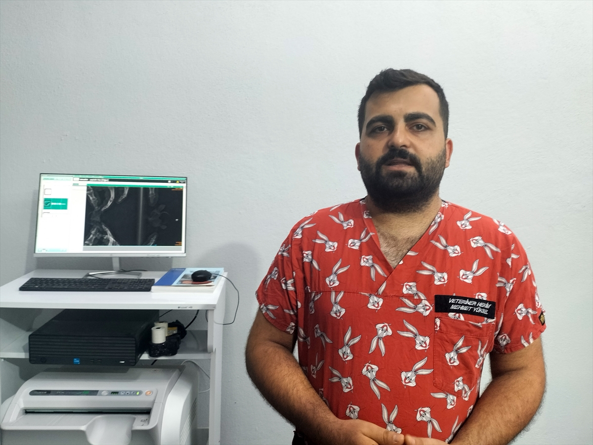 Antalya Sahillerinde Nadir An: Siyam İkizi Caretta Caretta Heyecanı